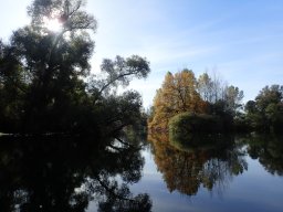 November 2025 - Wintersdorf